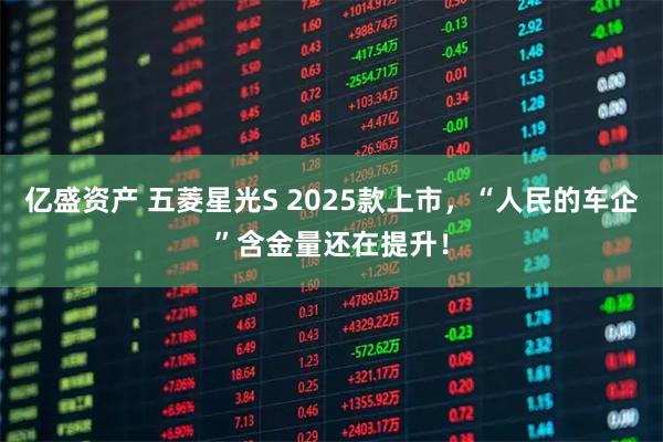 亿盛资产 五菱星光S 2025款上市，“人民的车企”含金量还在提升！