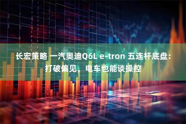 长宏策略 一汽奥迪Q6L e-tron 五连杆底盘：打破偏见，电车也能谈操控