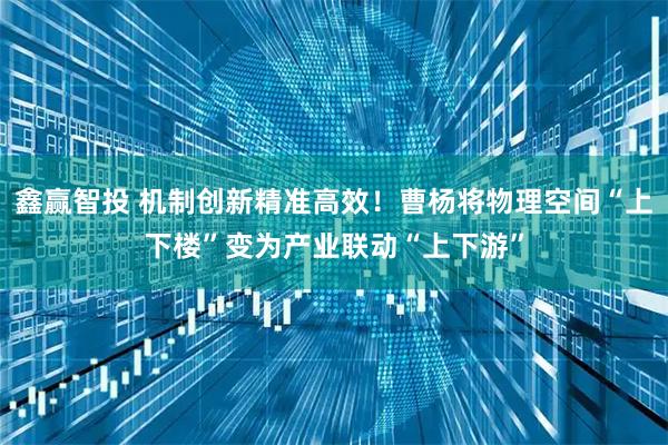 鑫赢智投 机制创新精准高效！曹杨将物理空间“上下楼”变为产业联动“上下游”